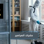 حشرات الصراصير