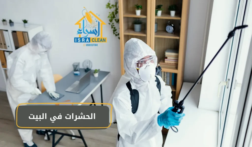 الحشرات في البيت