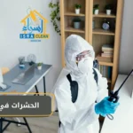 الحشرات في البيت