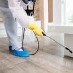 تنظيف الحشرات