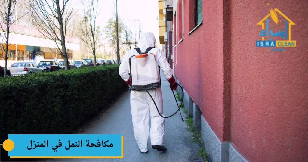 مكافحة النمل في المنزل