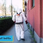 مكافحة النمل في المنزل