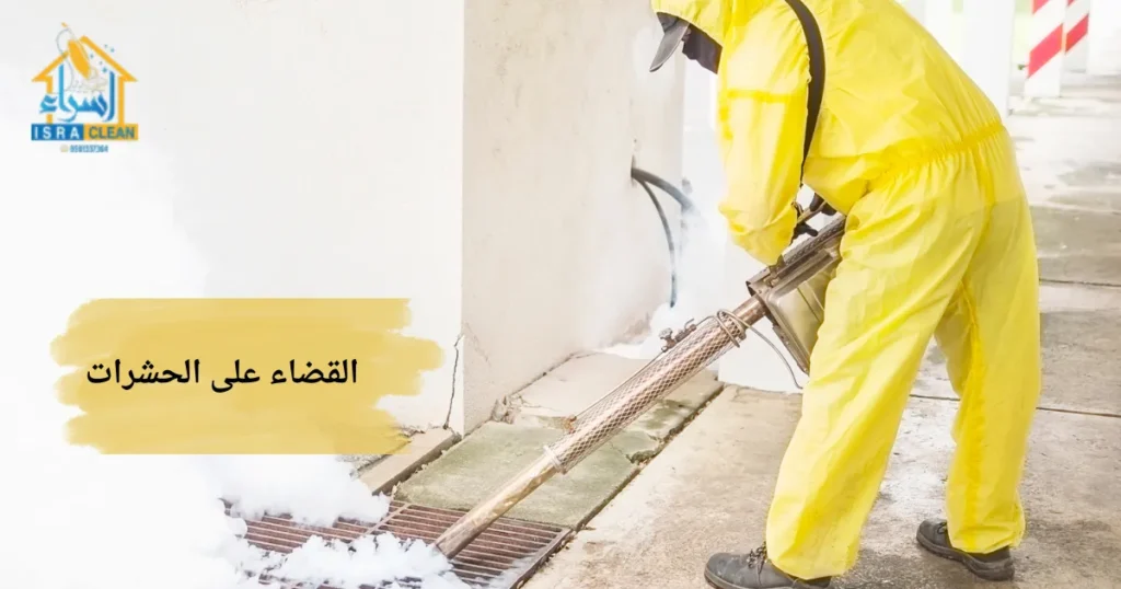 القضاء على الحشرات