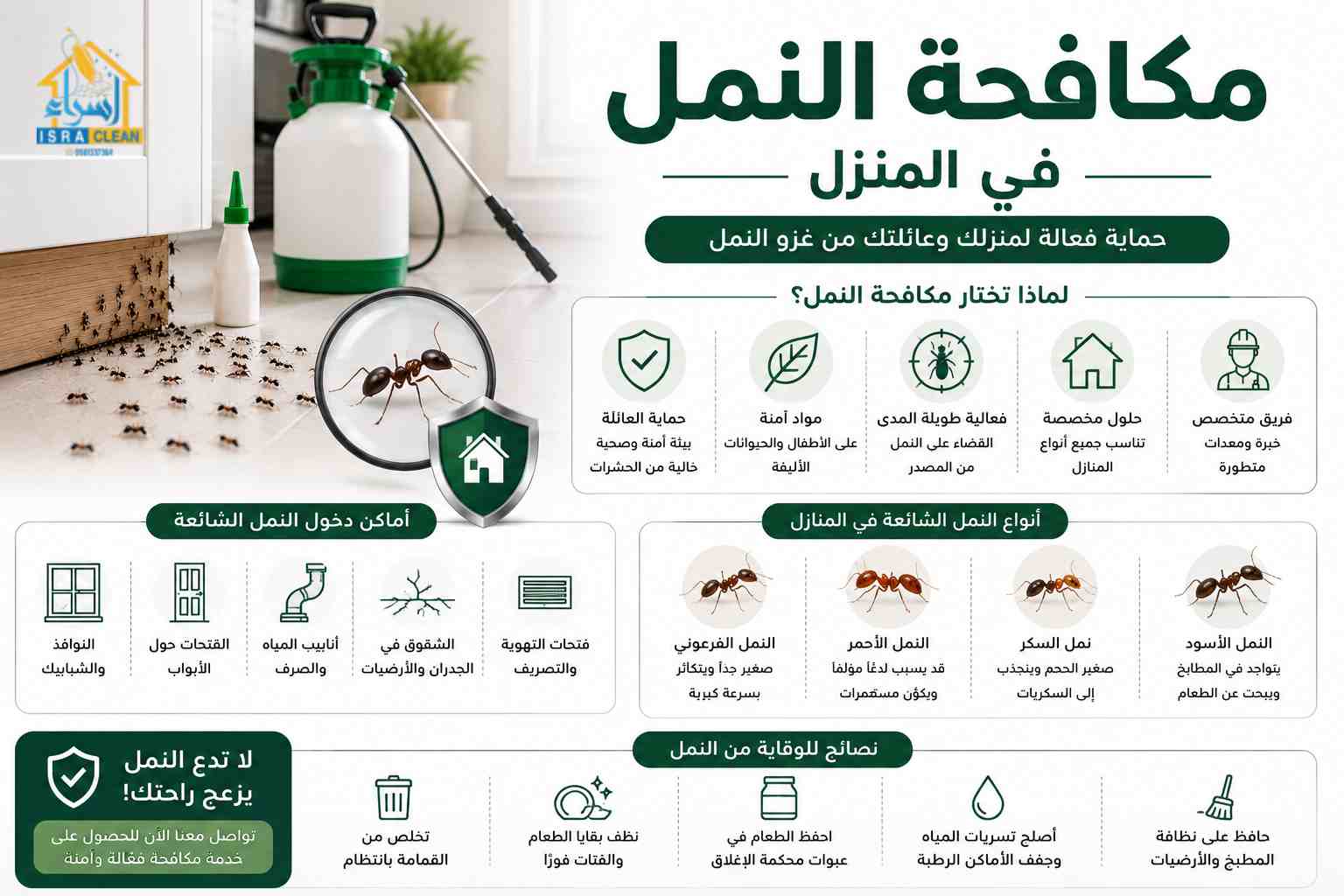 مكافحة النمل في المنزل