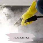 شركة تنظيف بالبخار