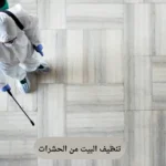 تنظيف البيت من الحشرات