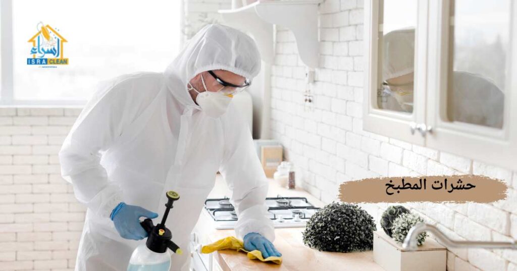 حشرات المطبخ