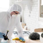 حشرات المطبخ