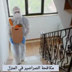 مكافحة الصراصير في المنزل