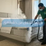 كيفية التخلص من حشرة البق