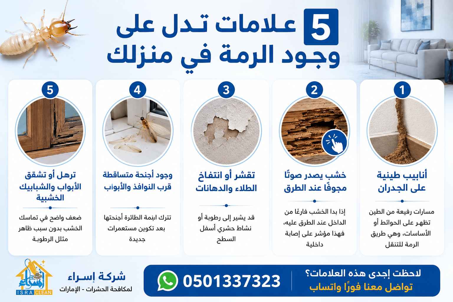 مكافحة الرمة في دبي
