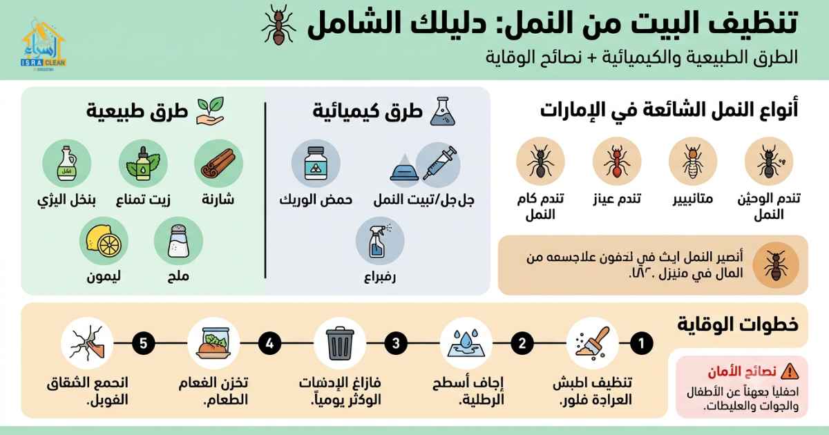 تنظيف البيت من النمل