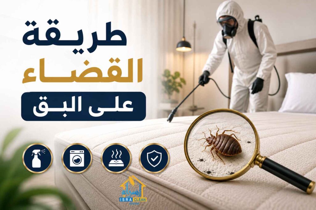 طريقة القضاء على البق