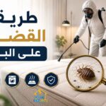 طريقة القضاء على البق